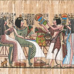 Meet your Posher, Jane